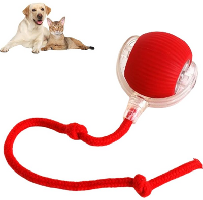 Smart Rolling Pet Ball - Interactive Cat Toy