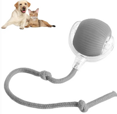 Smart Rolling Pet Ball - Interactive Cat Toy