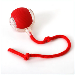 Interactive Self-Rolling Plush Cat Toy Ball